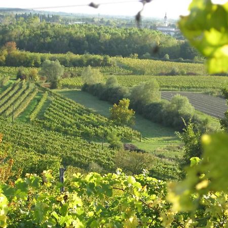 Capriva Del Friuli - Casa Roncus Villa Luaran gambar