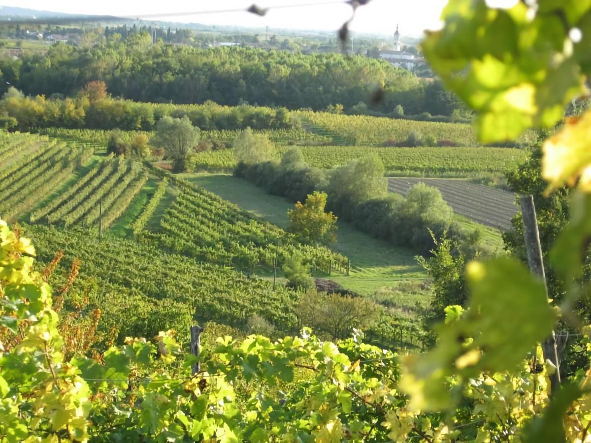 Capriva Del Friuli - Casa Roncus Villa Luaran gambar